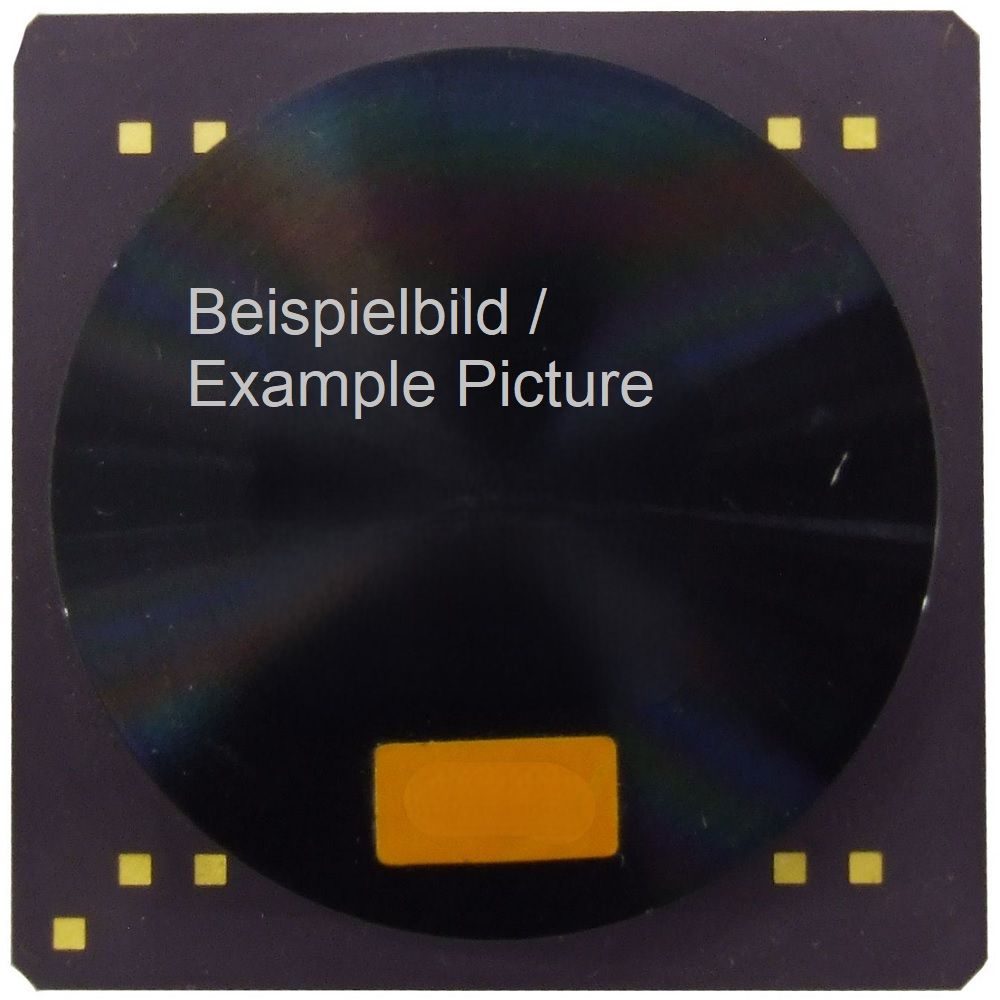 SUN MB86905 STP1012APGA microSPARC II Sockel/Socket PGA321CG CPU Prozessor 4060787410603